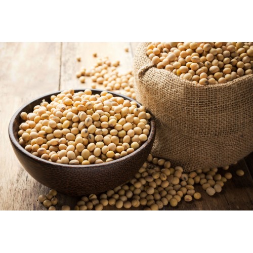 Is Soy a good protein source? Is Soy a good protein source?